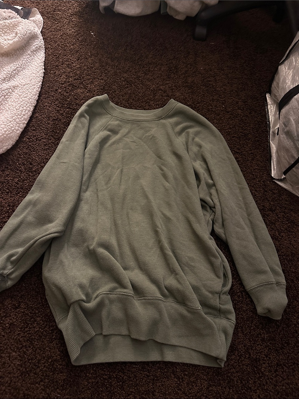 aerie sage green relaxed crewneck sweatshirt